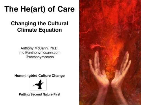 The Heart of Care McCann p1